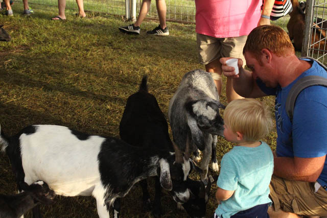 North Texas Fair & Rodeo